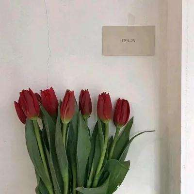 还珠格格手游拇指下载