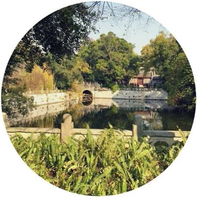 斗神大陆官方下载