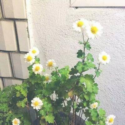 战争时刻破解版下载